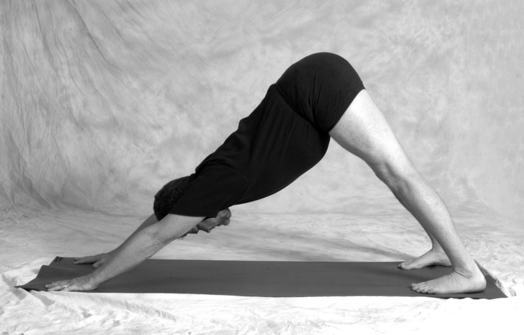 Greater Baltimore Yoga Blog Dog Pose Is For Dogs greater-baltimore-yoga-blog-dog-pose-is-for-dogs